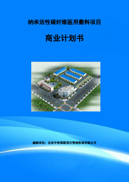 纳米活性碳纤维医用敷料项目商业计划书写作模板
