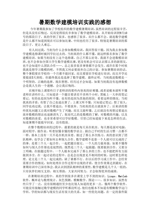 暑期社会实践报告(数模版)