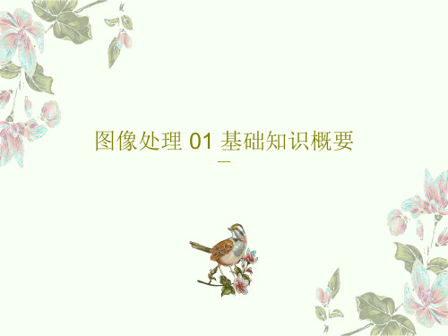 图像处理 01 基础知识概要34页PPT