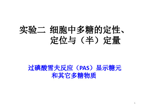 2 细胞中多糖的定位