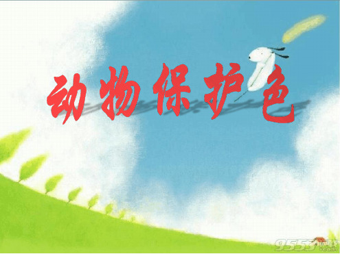 幼儿园课件—大班科学《动物保护色》