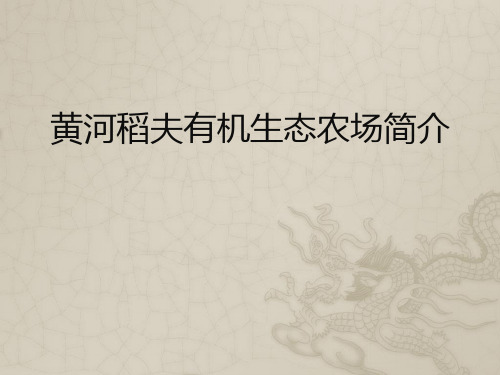 黄河稻夫有机生态农场简介