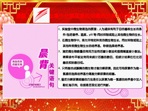 高中生物 专题2 课题2 土壤中分解尿素的细菌的分离与计数课件高二选修1生物课件