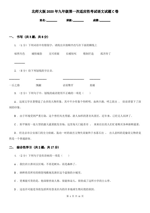 北师大版2020年九年级第一次适应性考试语文试题C卷