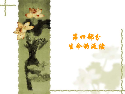 第四部分  细胞的分裂和分化