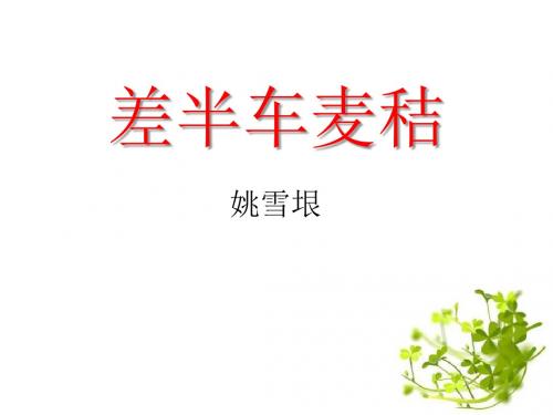 《差半车麦秸》PPT课件2