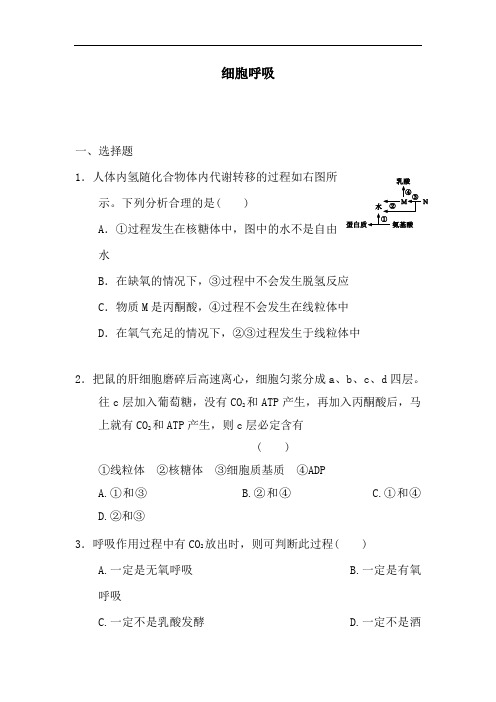 最新高中生物-高一生物细胞呼吸同步练习题21 精品
