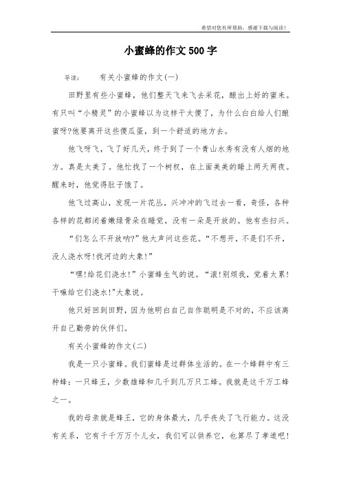 小蜜蜂的作文500字