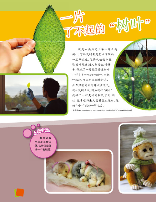 用羊毛“养”出了一个“动物园”