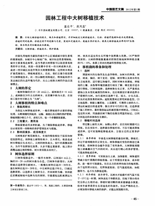 园林工程中大树移植技术
