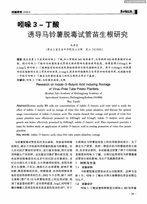 吲哚3-丁酸诱导马铃薯脱毒试管苗生根研究