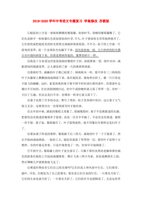 2019-2020学年中考语文专题复习 学案修改 苏教版.doc