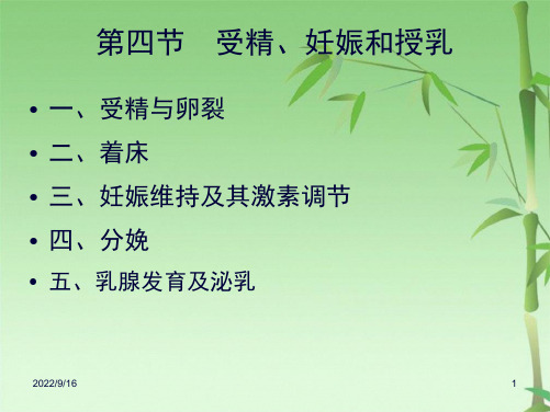 第四节  受精妊娠和授乳(共38张PPT)