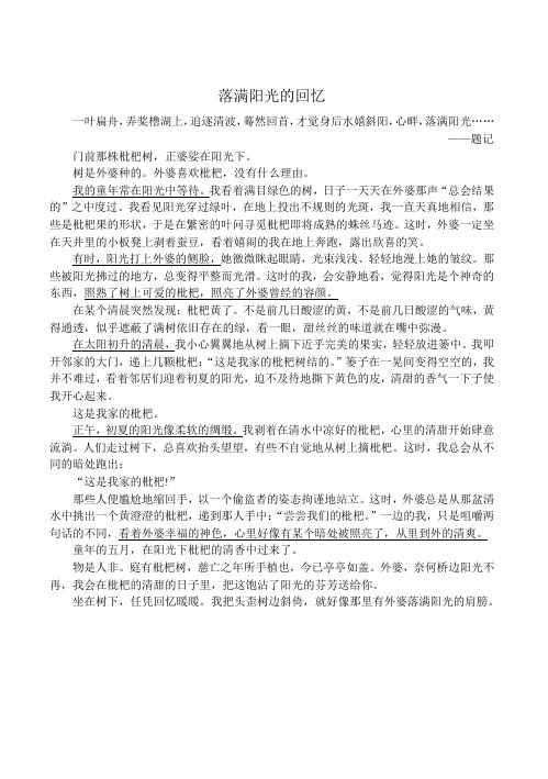 落满阳光的回忆