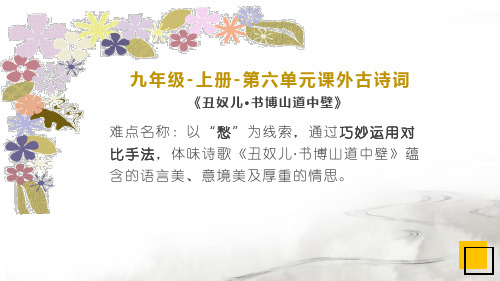 人教部编版九年级语文上册第六单元课外古诗词诵读《丑奴儿·书博山道中壁》课件(共16张PPT)优质课件