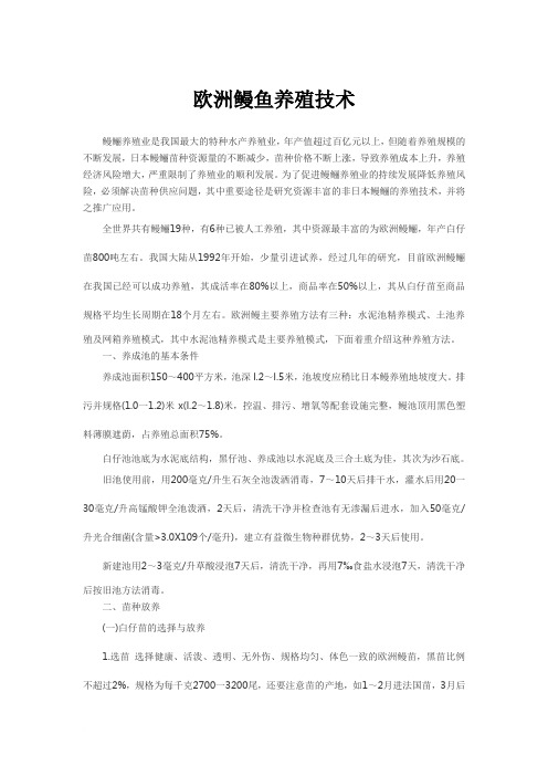 欧洲鳗鱼的养殖技术