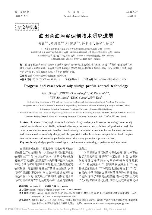 油田含油污泥调剖技术研究进展_舒政