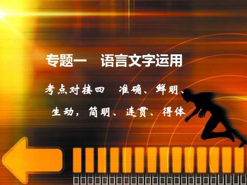 2013高考语文二轮复习资料ppt3