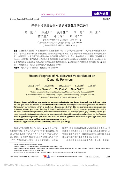 基于树枝状聚合物构建的核酸载体研究进展_张薇