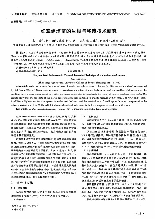 红掌组培苗的生根与移栽技术研究