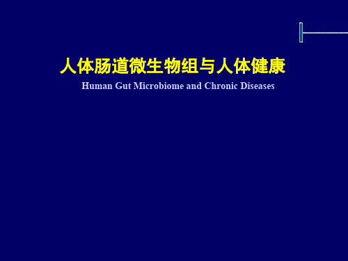 人体肠道微生物组与人体健康
