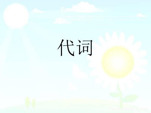 英语代词语法要点