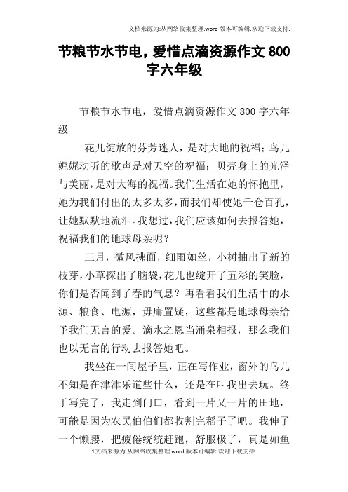 节粮节水节电,爱惜点滴资源作文800字六年级