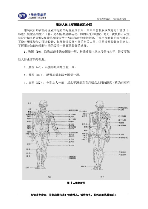 服装人体主要测量部位介绍