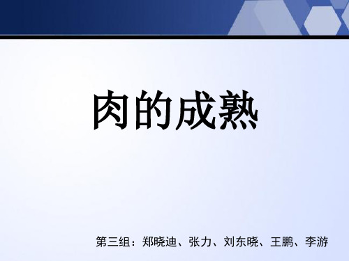 肉的成熟(最终版)
