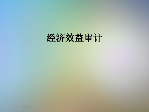 经济效益审计