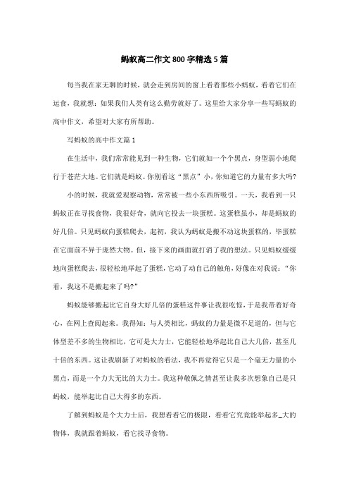蚂蚁高二作文800字精选5篇