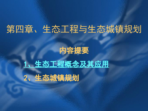 生态工程与生态城镇规划培训课件(ppt 67页)