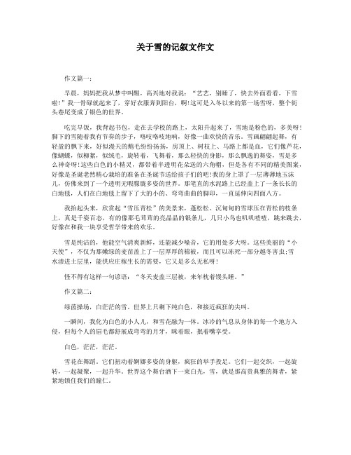 关于雪的记叙文作文