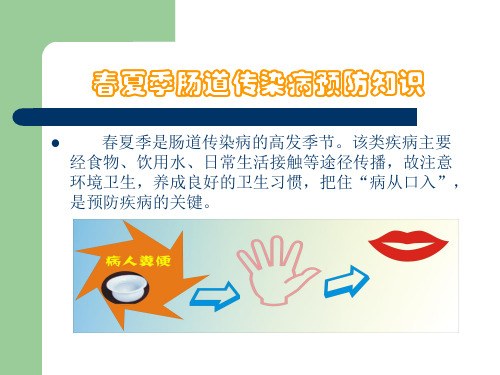 春夏季肠道传染病预防控制知识ppt课件