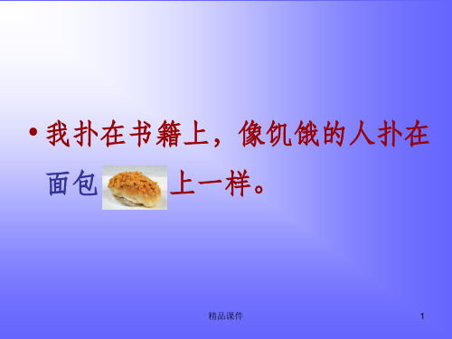 面包发霉了ppt课件