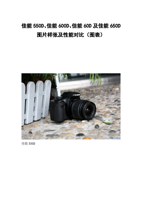 佳能数码相机对比图表