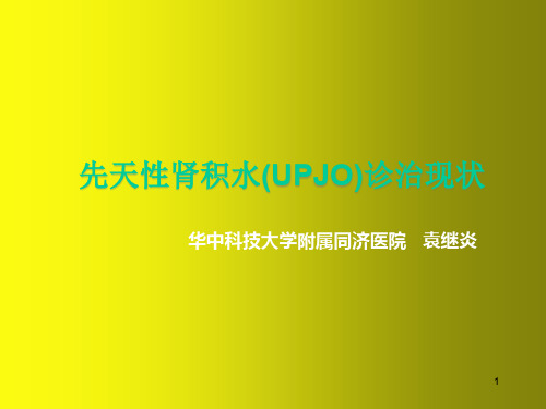 先天性肾积水诊治现状ppt课件