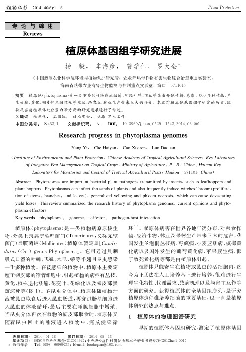 植原体基因组学研究进展