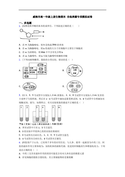 威海市高一年级上册生物期末 非选择题专项模拟试卷