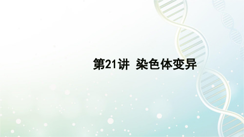 高三生物一轮复习精品课件5：第21讲 染色体变异