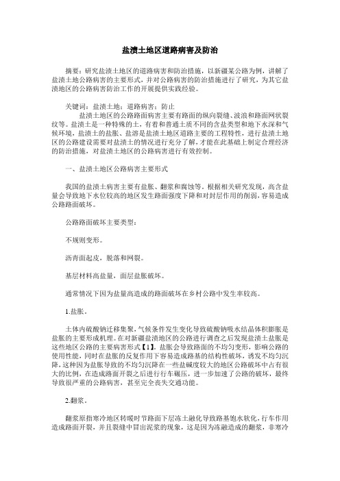 盐渍土地区道路病害及防治