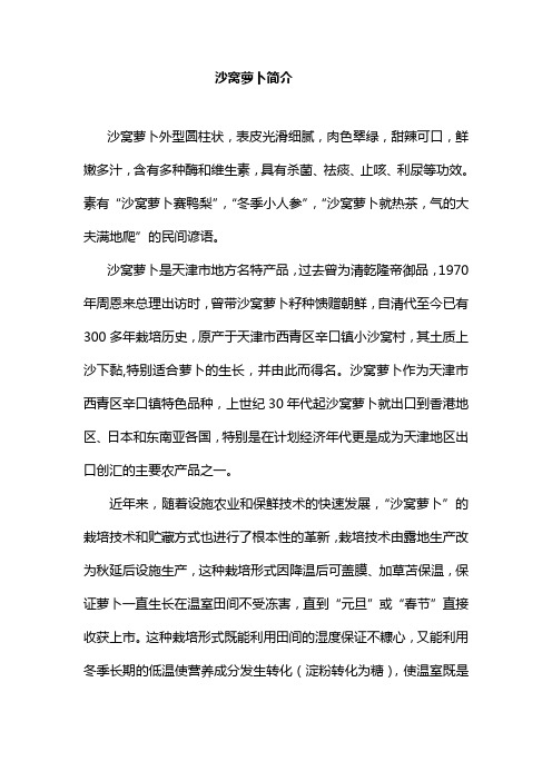 沙窝萝卜简介