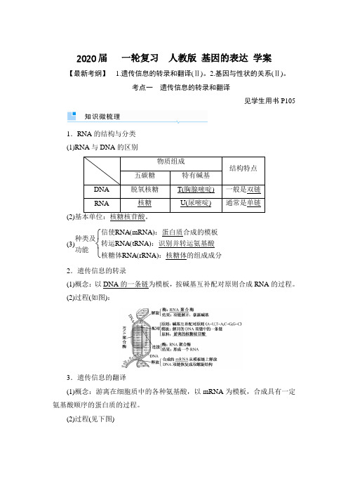 2020届 一轮复习 人教版 基因的表达 学案_1