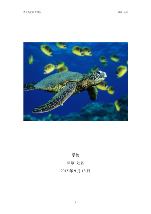 关于龟的研究报告