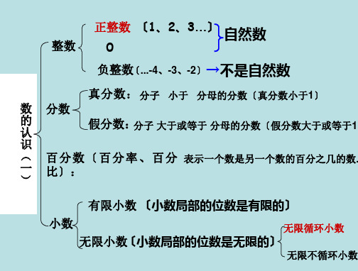 人教版六年级下册数学总复习数的认识