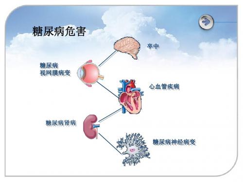 糖尿病的饮食宣教