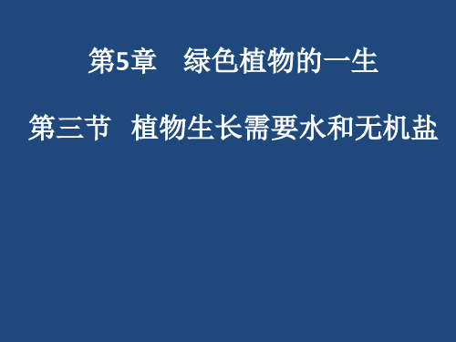 第三节植物生长需要水和无机盐 课件 2021-2022学年苏教版七年级生物上册