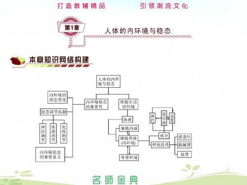 2014届高考生物(人教全国通用)一轮复习《必修3第1章人体的内环境与稳态》