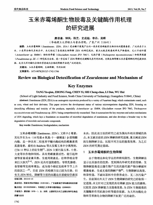玉米赤霉烯酮生物脱毒及关键酶作用机理的研究进展
