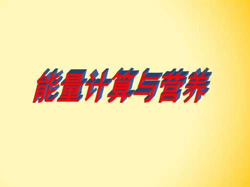 6.3.3能量计算与营养解析
